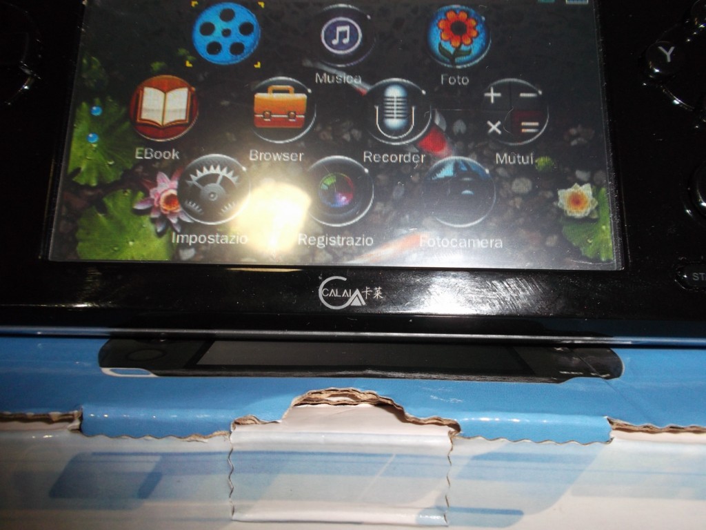 DSCF0675 [1024x768].jpg